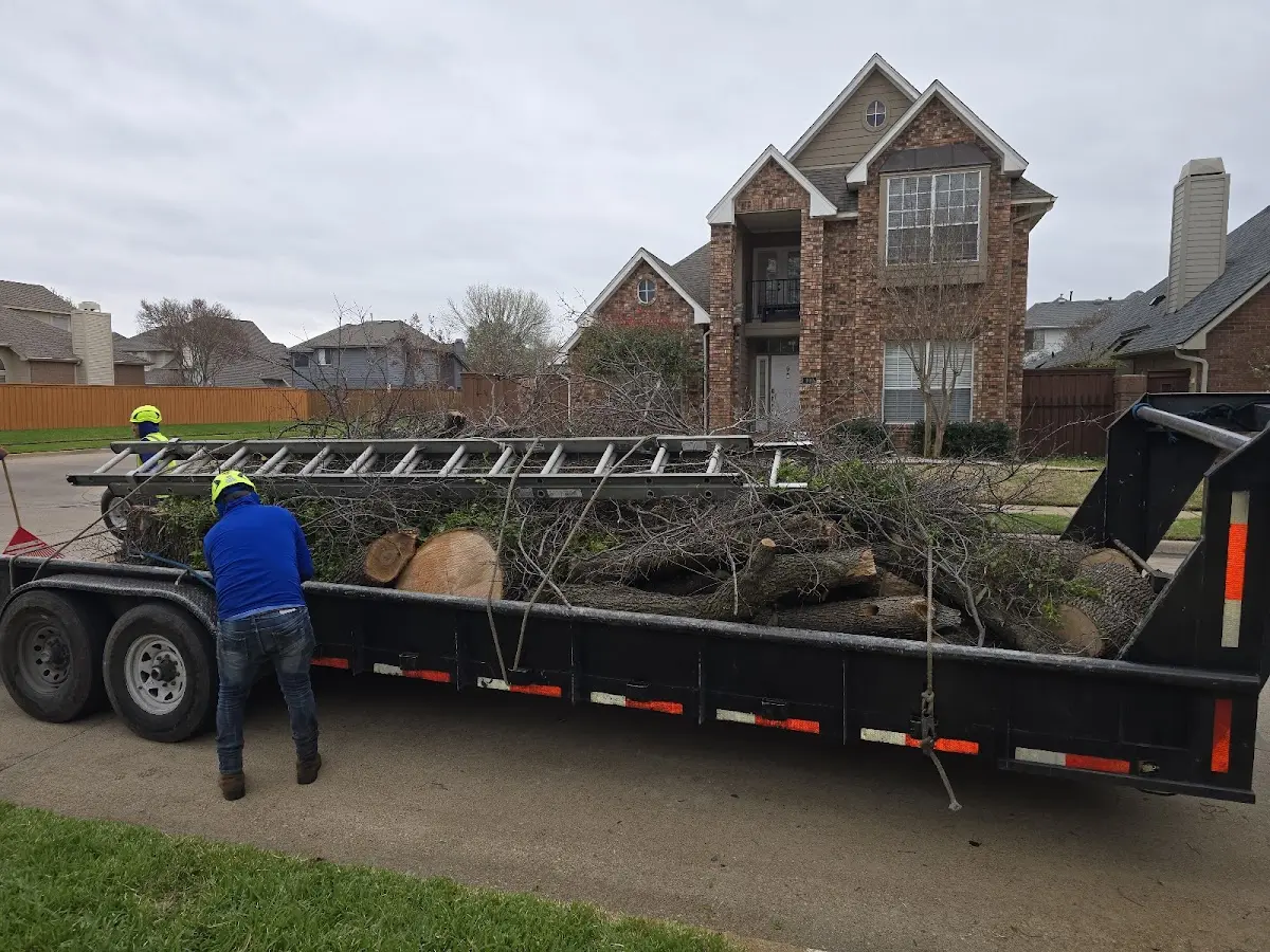 Expert Tree Fertilization with proper safety equipment in Leola